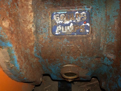 USED Goulds 3196
