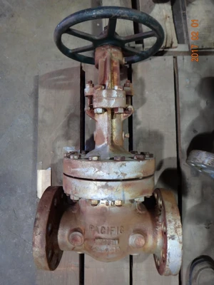 Pacific 4", Class 600, WCB, Gate Valve