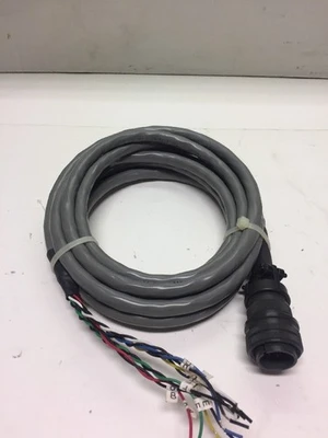 NEW Carol C6053A