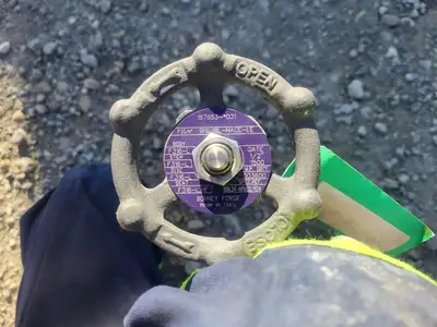 NEW BONNEY FORGE 9HL 18L-NACE-LE
