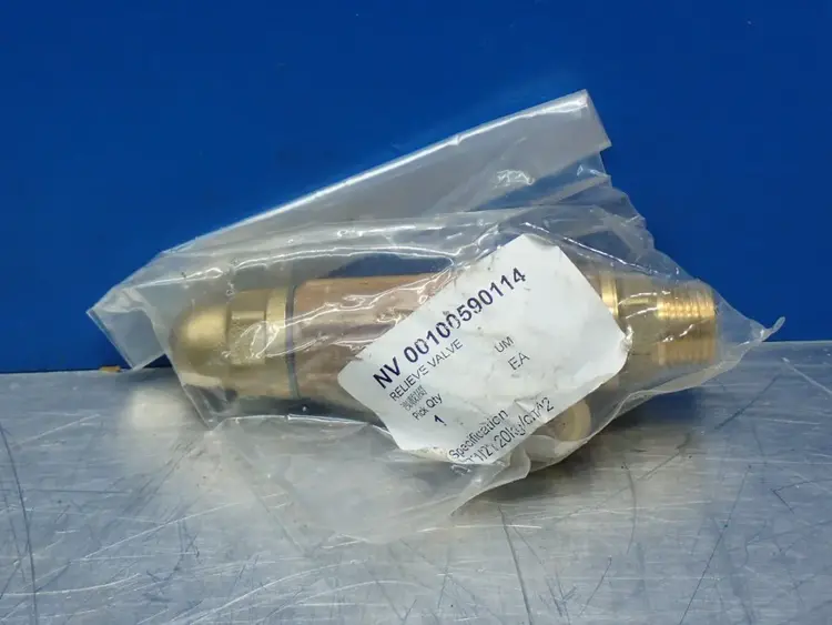 Used SAFETY VALVE S10 Pumps Ohio US | HGR 24 #1147901