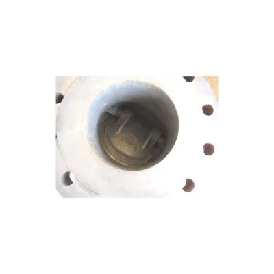 6 Inch Crane Nuclear Tilting Disc Check Valve Figure 223
