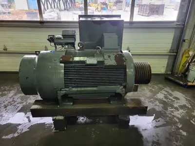 250HP 4000V Advantage Plus Electric Motor