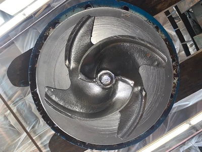 USED Goulds 3175