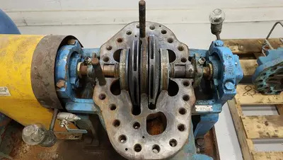USED Goulds 3316