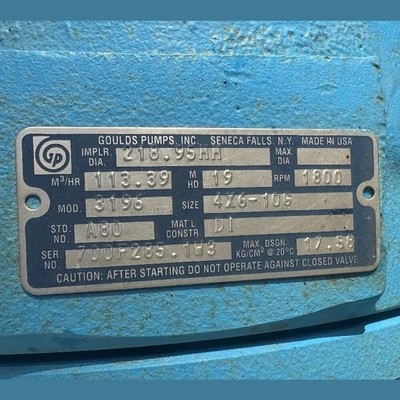 USED GOULDS 3196