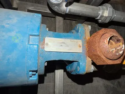 USED 2019 LATTNER WLF