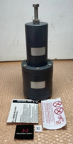 NEW Plast-O-Matic PR100EP-PV
