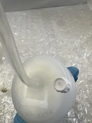 BD BIOSCIENCES FILTER FLOW