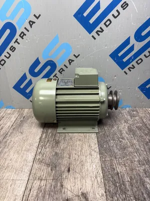 NANTONG HAI RI ELECTRICAL THREE-PHASE INDUCTION MOTOR Motors | ESS Industrial Equipment Sales (4)