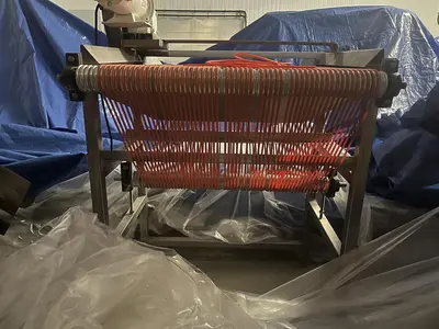 Berry Sizing Conveyor