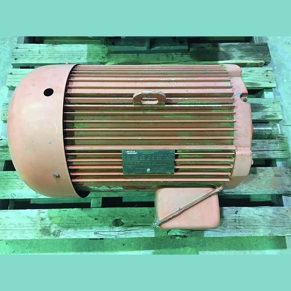 Lincoln 30 hp Electric Motor