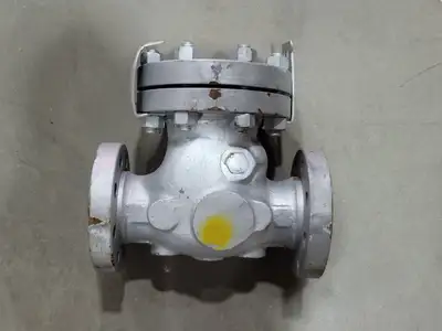 USED DSI VALVES 165 XU