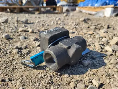 3/4" Class 800 Check Valve B16.34