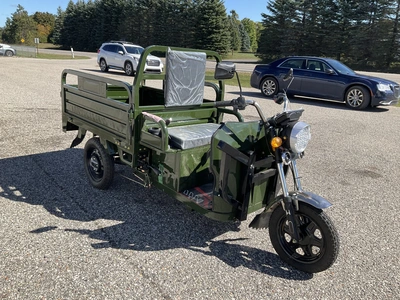 Used 2026 SDLANCH ET13 Utility Vehicles Michigan US | Miedema Asset Management Group #1483685