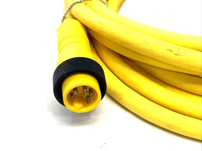 Used Lumberg Automation 500003844 Cable & Wire Michigan US | Maverick Industrial Sales #1393175