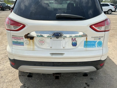 Used 2014 FORD ESCAPE SUVs Michigan US | Miedema Asset Management Group #1414602