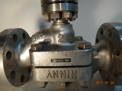 Annin 2", Class 3600, 316SS, Cryogenic Control Valve