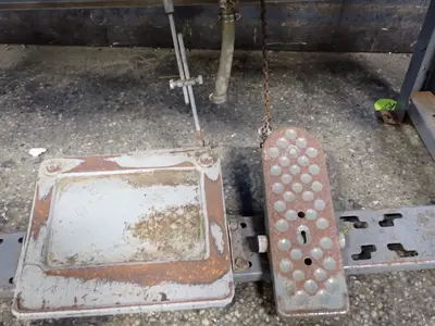 Pegasus Sewing Machine