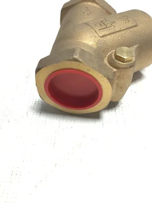 Milwaukee Brass Y Check Valve 1-1/2 “NPT 200S 400W