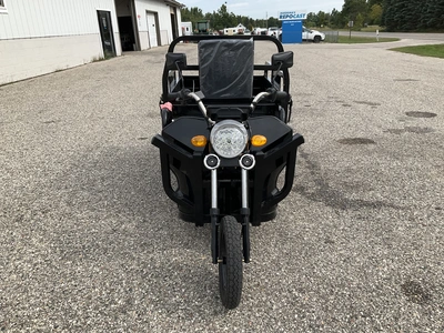 Used 2026 SDLANCH ET13 Utility Vehicles Michigan US | Miedema Asset Management Group #1423731