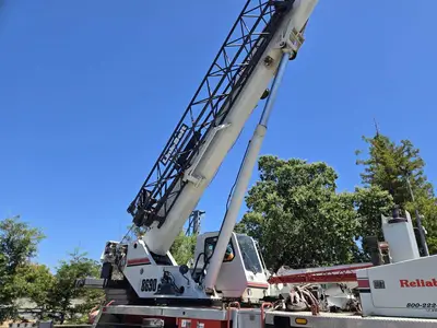Used 2008 LINK-BELT HTC-8690 Telescopic Boom Lifts California US | Ben Kaplan Equipment #1233508