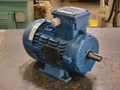 Used 2022 WEG TE01A0X0T0000300438 Motors (misc) British Columbia CA | Lenmark #246663
