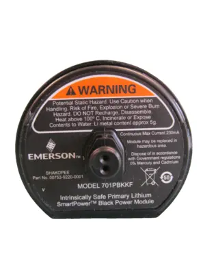 NEW Emerson 701PBKKF