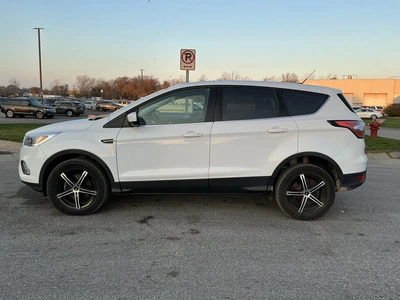 Used 2017 FORD ESCAPE Utility Vehicles Michigan US | Miedema Asset Management Group #1732719