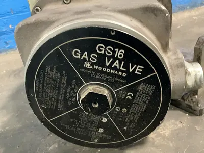 Used WOODWARD GS16 / 9907573 Pumps Ohio US | HGR 24 #1460648