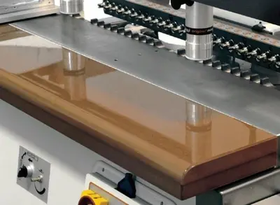 NEW MAGGI SYSTEM 35