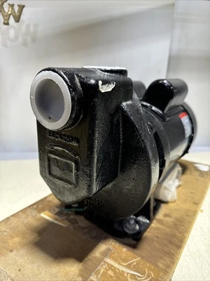 NEW Dayton 2ZXP5