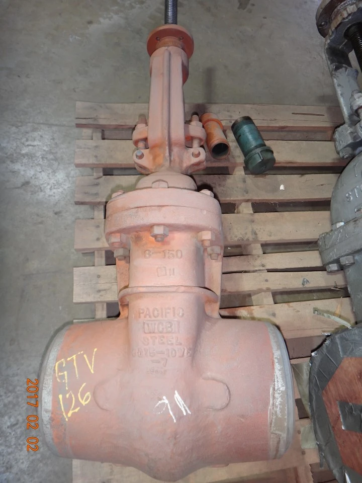 Pacific 8", Class 150, WCB, Gate Valve