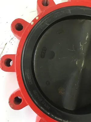 Bray ND4789/20-1000-82801-560 6″Lug-Style Resilient Seated Butterfly Valve