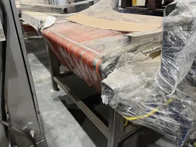 Berry Sizing Conveyor