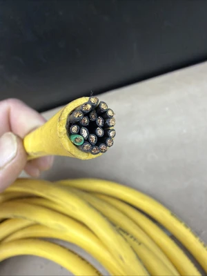New No Box Lumberg RK 190M-669/10M Cable Assembly 500000748 Warranty 🇺🇸