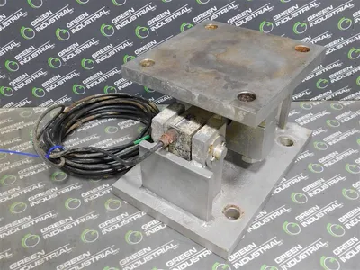 USED RICE LAKE 482PLUS-2A