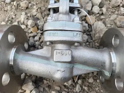2019 1" Class 600 Globe Valve API 602
