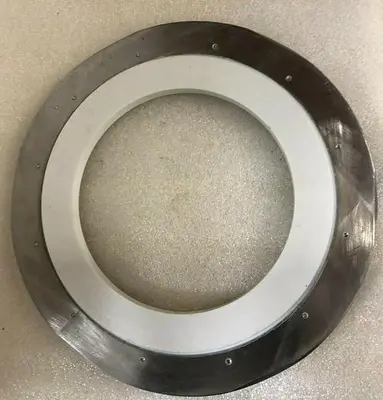Strasbaugh polisher chuck 10''