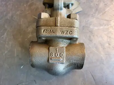 1" Class 800 Globe Valve B16.34