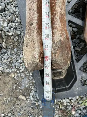 Used AFTERMARKET 6” D X 33-1/2" L STEEL CHISEL BIT FOR CABLE TOOL Drills Pennsylvania US | East West Machinery & Drilling #1417430
