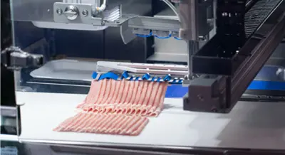 Nantsune Model CM-230 Scorpion Automatic Slicer and Dishing Robot