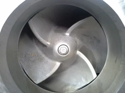 USED Goulds 3175