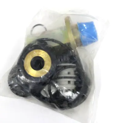 NEW ASCO 302-719-P REBUILD KIT 302719P