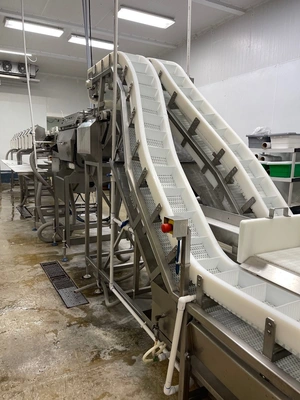 Marel Used Dual Lane Smart-Line Grader with 8 Gates Per Lane/ Custom Built Infeed