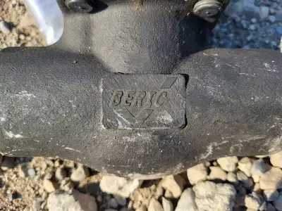 NEW 2013 BERIC VALVES 502S78B12N-NACE