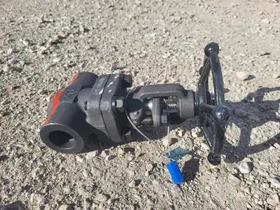 1" Class 800 Gate Valve API 602