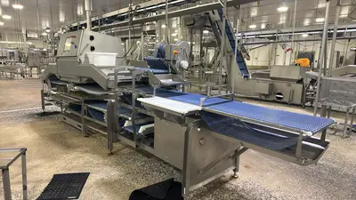USED 2016 MAREL SENSORYX