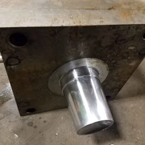 Mold Test Cup