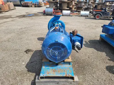 USED GOULDS 3196